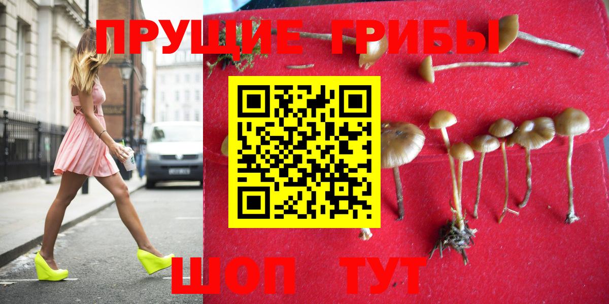 Псилоцибиновые грибы GOLDEN TEACHER  Вход с VPN  Галлюциногенные грибы прущие грибы  Губкин 