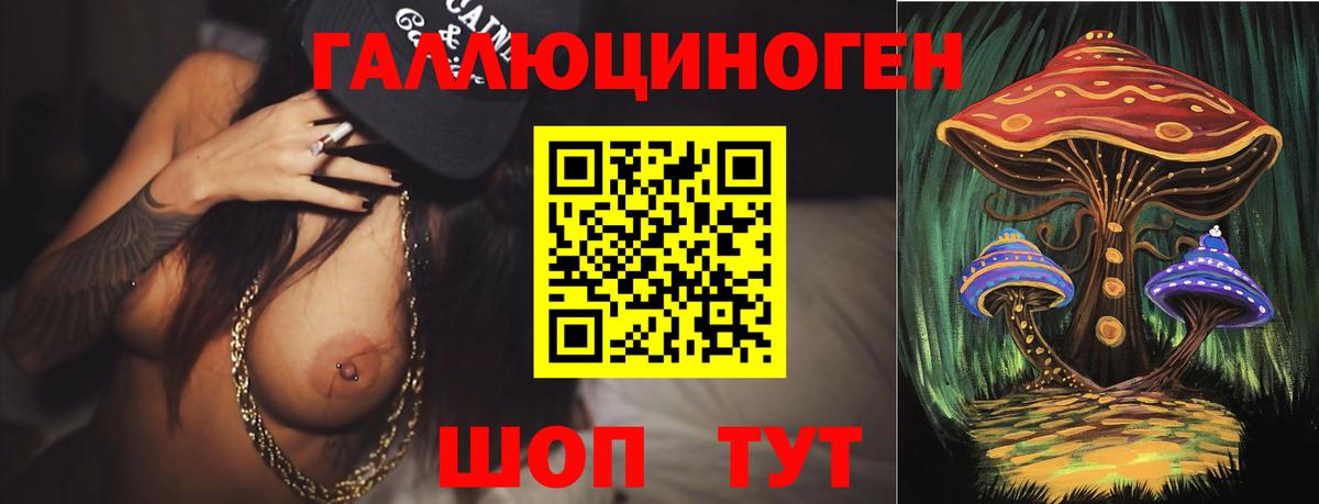 Галлюциногенные грибы мухоморы Губкин